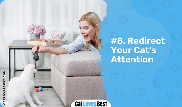 redirect your cats attention