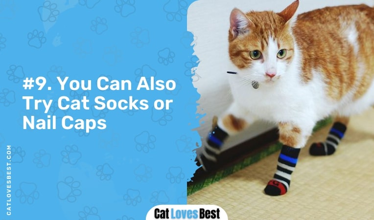 you can also try cat socks or nail caps