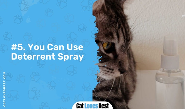 you can use detterent spray