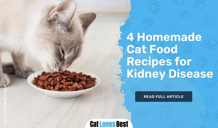 4 Homemade Cat Food Recipes for Kidney Disease