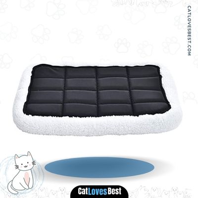  AmazonBasics Padded Bolster Bed for Cats