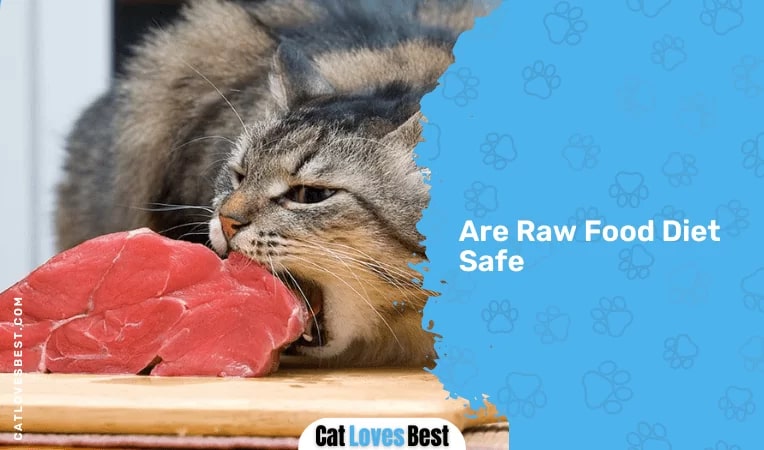 Are Raw Food Diet Safe