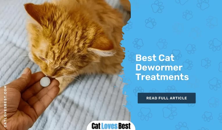  Best Cat Dewormer Treatments 