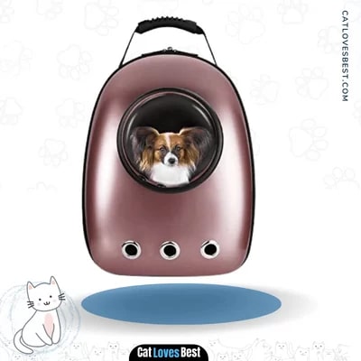  Blitzwolf Pet Portable Carrier Space Capsule