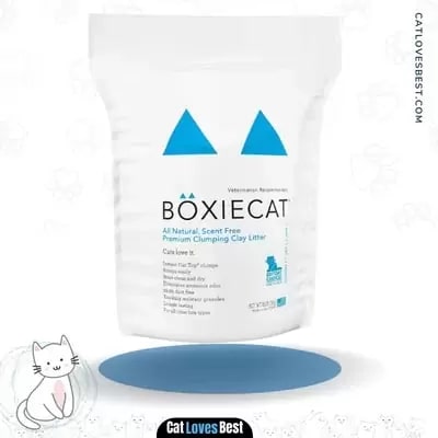 Boxiecat Premium Clumping Hypoallergenic Cat Litter