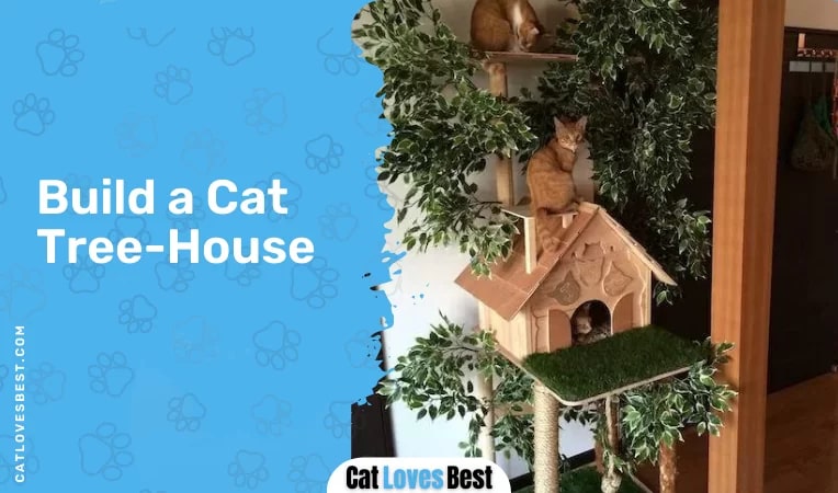 Build a Cat Tree-House