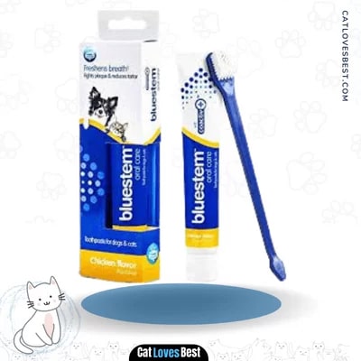 Chicken Flavor Cat ToothPaste with ToothBrush