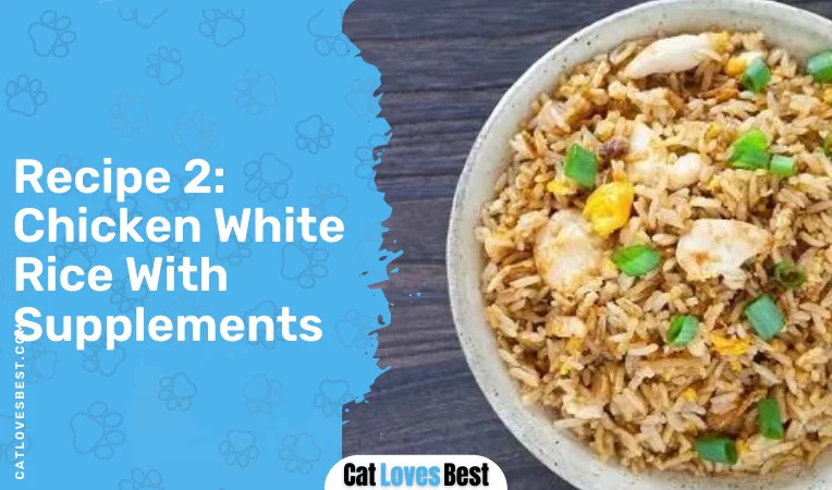 Recipe 2: Chicken White Rice With Supplements