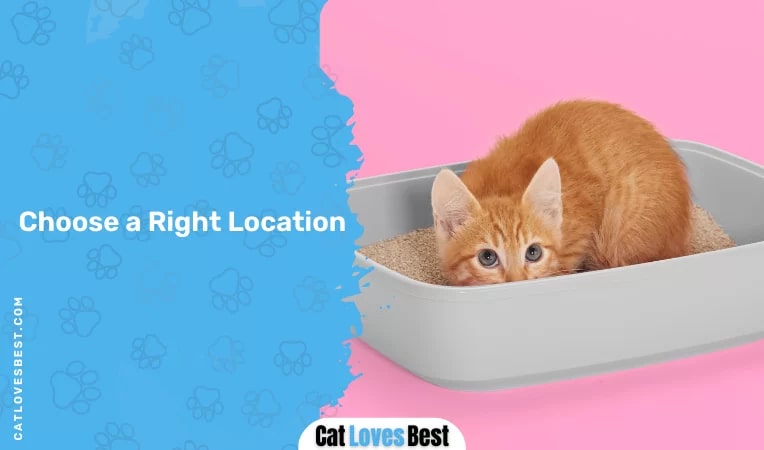 Choose a Right Location
