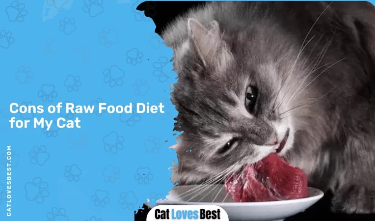 Cons of Raw Food Diet for My Cat