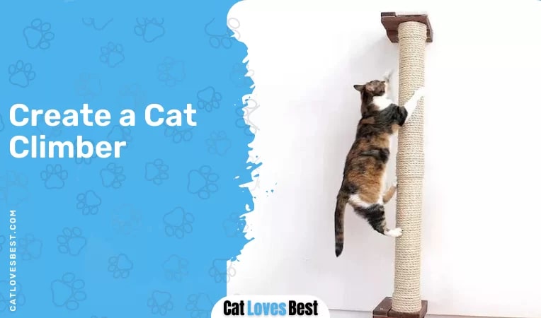  Create a Cat Climber