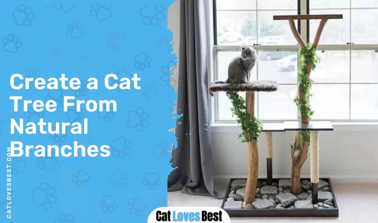  Create a Cat Tree From Natural Branches