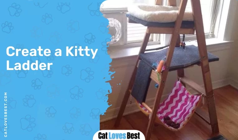  Create a Kitty Ladder