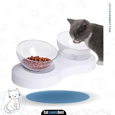 Double Elevated Bowl 20 Degree Tilt Design for Cats