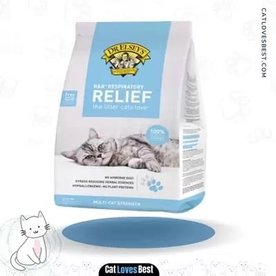  Dr. Elsey's Precious Hypoallergenic Cat Litter