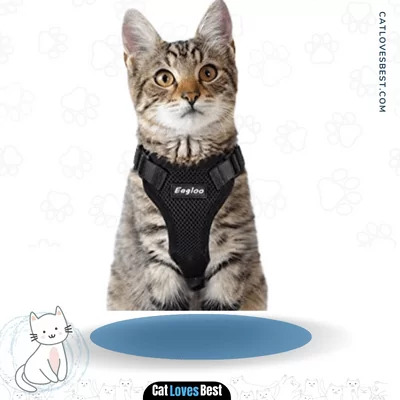 Eagloo Escape Proof Soft Mesh Cat Harness