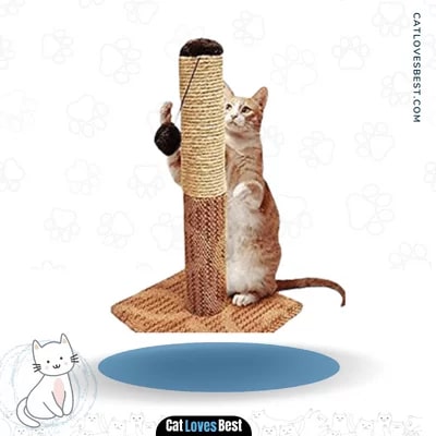  Four Paws Super Catnip Carpet and Sisal Scratching Post Cat House