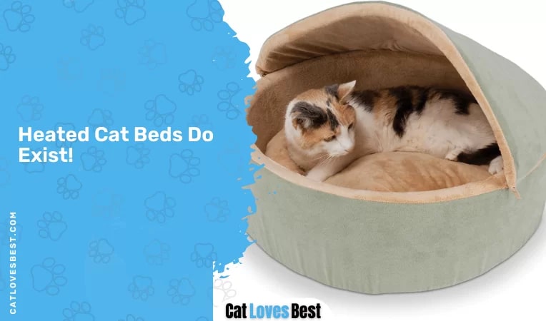 Heated Cat Beds Do Exist
