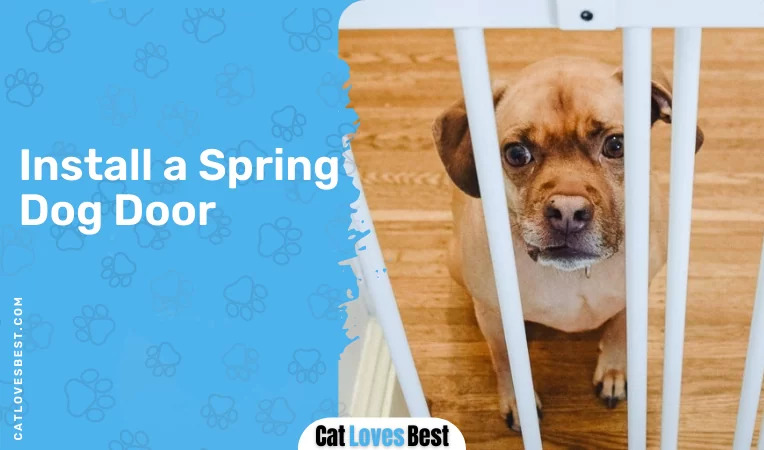 Install a Spring Dog Door