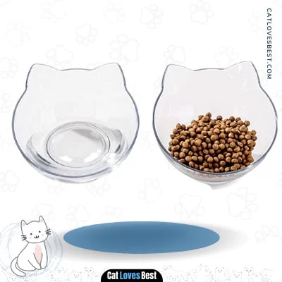 Laifug Elevated Double Cat Bowl for Cats