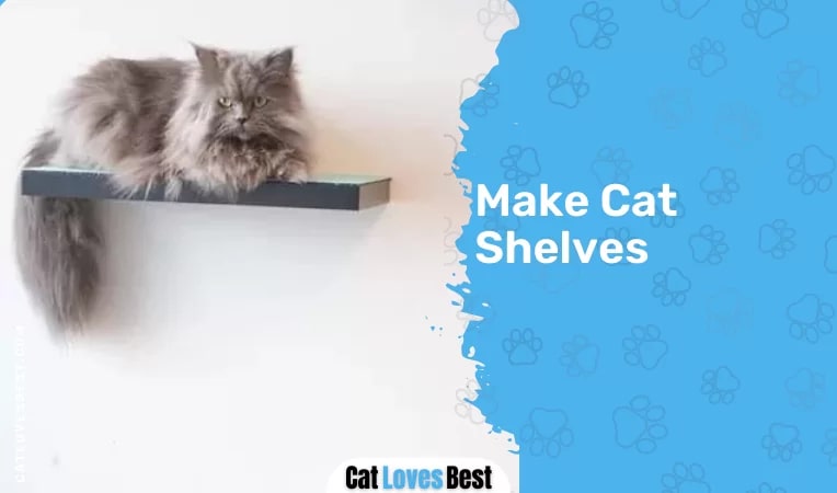 Make Cat Shelves