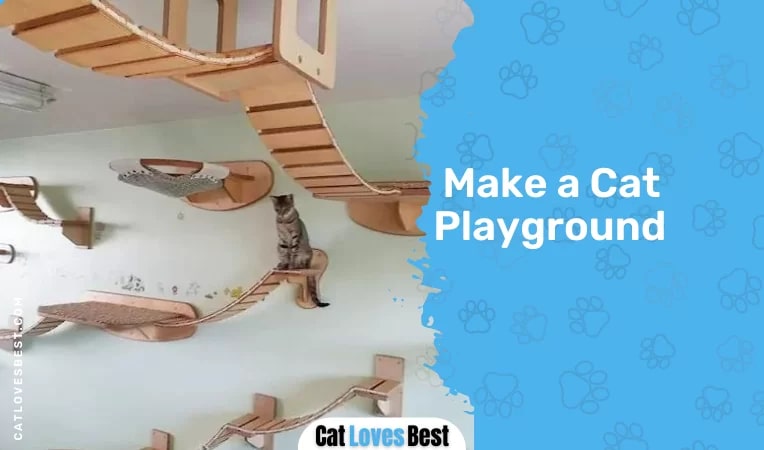  Make a Cat Playground
