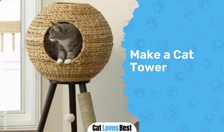 Make a Cat Tower