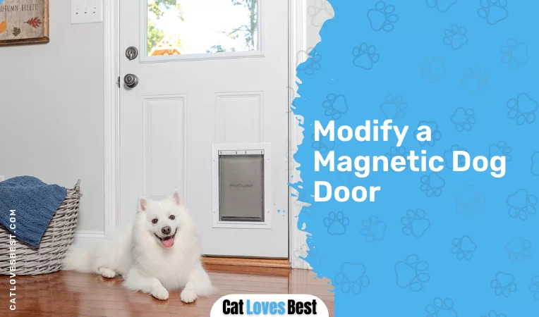 Modify a Magnetic Dog Door