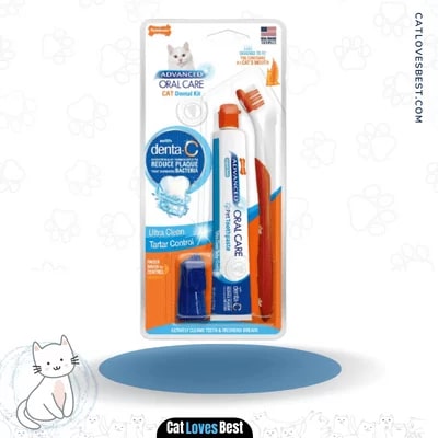 Nylabone Advanced Oral Care Dental Kit