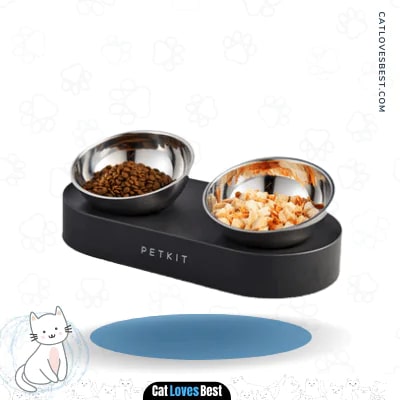 PETKIT CYBERTAIL 15° Tilted Raised Cat Food and Water Bowls