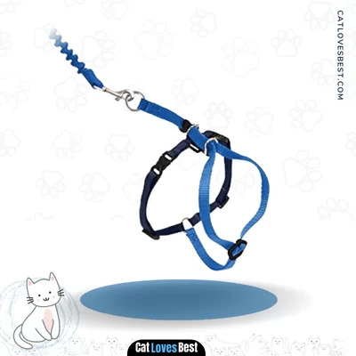 PetSafe Come with Me Kitty Harness with Bungee Leash