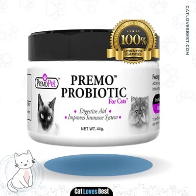  Premo Probiotic and Digestive Aid Plus Prebiotic