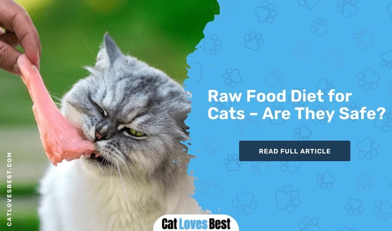 Raw Food Diet for Cats