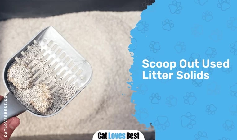  Scoop Out Used Litter Solids