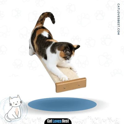 SmartCat Bootsie's Three-in-One Cat Scratcher