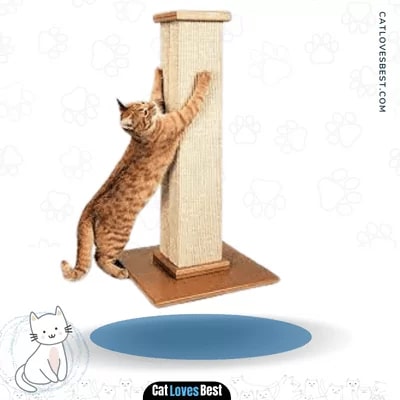 SmartCat's Pioneer Pet The Ultimate Scratching Post