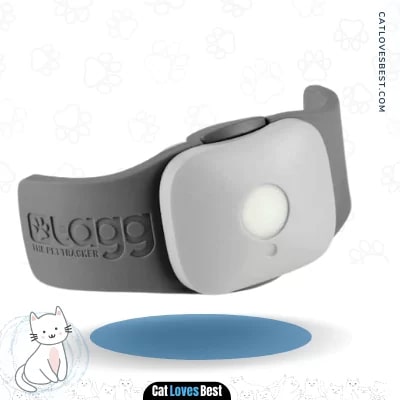 Tagg Cat GPS Tracker Collar Attachment