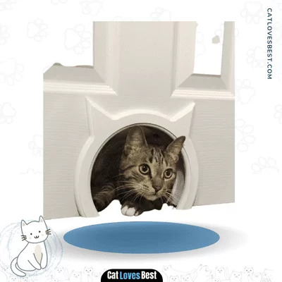 The Kitty Pass Interior Cat Door for Hidden Litter Box 