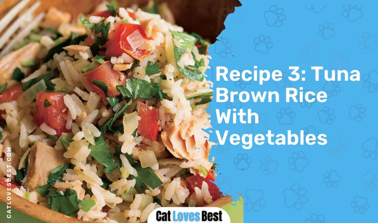 Tuna Brown Rice With Vegetables