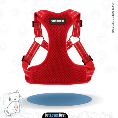  Voyager Fully Adjustable Step-in Mesh Pet Harness
