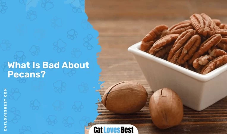 What Is Bad About Pecans