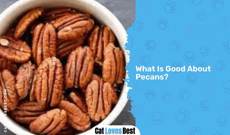 What Is Good About Pecans
