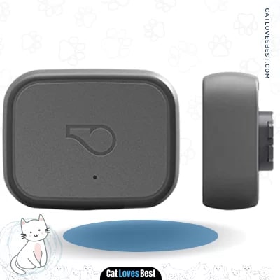 Whistle 3 GPS Cat Tracker & Activity Monitor