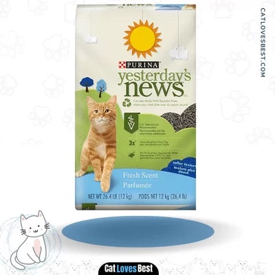 Yesterday’s News Original Unscented Non-Clumping Paper Litter