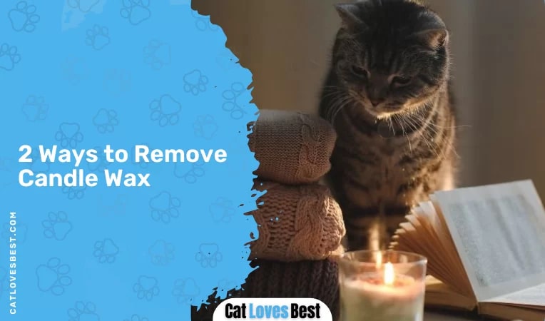 2 Ways to Remove Candle Wax