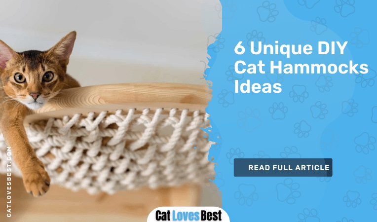 6 Unique DIY Cat Hammocks Ideas 