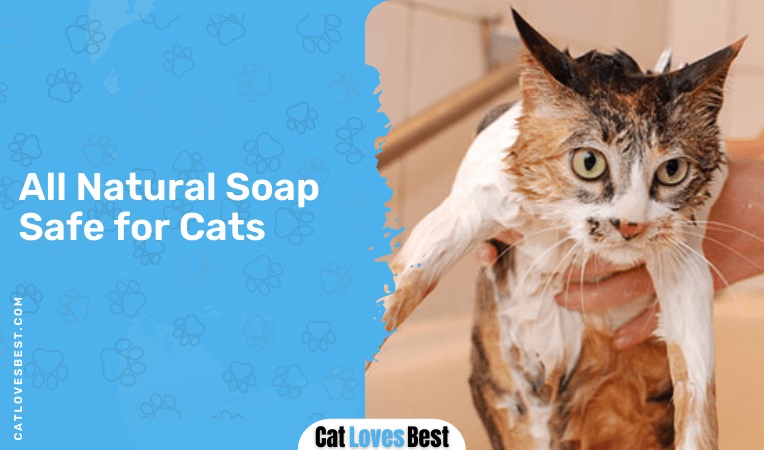 All Natural Soap Safe for Cats