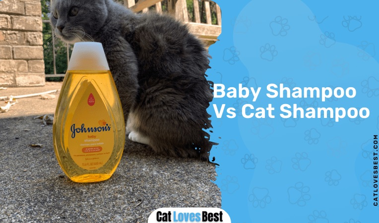 Baby Shampoo Vs Cat Shampoo