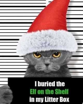 Buried Elf on the Shelf