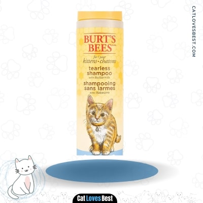 Burt's Bees Kittens Tearless Shampoo